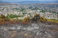 მთაწმინდაზე ხანძრის შემდგომ დაზიანებული ფერდობი სპეციალისტებმა დაათვალიერეს