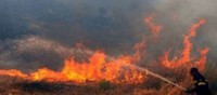 ცეცხლის კერებთან მეხანძრე-მაშველების დამატებითი რაოდენობის მობილიზება მოხდა