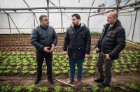 „ერთიანი აგროპროექტის“ ფარგლებში ქარელის რაიონში ახალი სასათბურე მეურნეობა მოეწყო