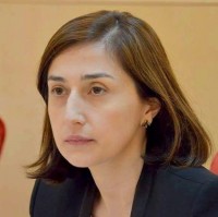 ნინო გოგუაძე: პარლამენტის საგარეო ურთიერთობათა კომიტეტმა პირველად შეიმუშავა და წარადგინა კომიტეტის სტრატეგია და სამოქმედო გეგმა მე-9 მოწვევის პარლამენტისთვის