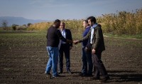 კახელ ფერმერს სეტყვის შედეგად მიყენებული ზიანი აუნაზღაურდა