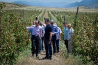 ლევან დავითაშვილი: ჩვენი მხარდაჭერით, კასპში, 12 ჰექტარზე მაყვლის ბაღი გაშენდა