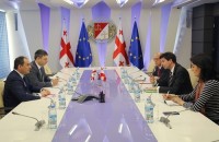 დიმიტრი ქუმსიშვილი ავსტრიის ელჩს შეხვდა 