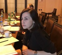 საგარეო ურთიერთობათა კომიტეტის დეზინფორმაციის და პროპაგანდის საკითხებზე თემატური მოკვლევის ჯგუფმა სამუშაო შეხვედრა გამართა