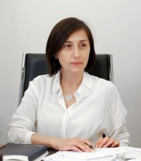 პარლამენტში დეზინფორმაციის და პროპაგანდის გავრცელების საკითხებზე დასაბუთებულ მოსაზრებებს გამოიკვლევენ
