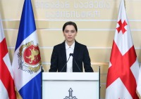 ნინო ცაციაშვილი: დიმიტრი ლორთქიფანიძის განცხადებაში მითითებული გარემოებების შესწავლა მიმდინარეობს