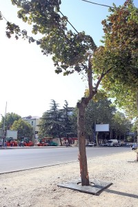 პეკინის ქუჩაზე გაჩერებების ადგილმდებარეობა იცვლება
