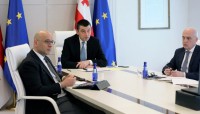საქართველოს პრემიერ-მინისტრმა ევროკომისართან ვიდეოკონფერენცია გამართა