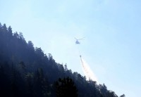 ახალციხის მუნიციპალიტეტში გაჩენილი ხანძარი ლოკალიზებულია