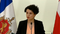 ნათია მეზვრიშვილი ონში მომხდარ შემთხვევაზე: ჩვენ დაცვის პოლიციელს უფლებამოსილება შევუჩერეთ და საქმე პროკურატურას გადავეცით