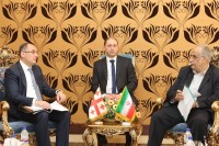 დიმიტრი ქუმსიშვილი ირანის ეკონომიკურ საქმეთა და ფინანსთა მინისტრს შეხვდა