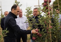 პროგრამა “დანერგე მომავალის” ფარგლებში გაშენებული ბაღიდან პირველი მოსავალი მიიღეს