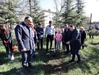 საჯარო სკოლების მასშტაბური გამწვანება დაიწყო