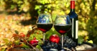 ექსპორტირებული ღვინის რაოდენობა 6%-ით, ხოლო ღირებულება 9%-ით გაიზარდა
