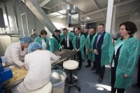 სამეგრელოში თხილის გადამამუშავებელი ახალი საწარმო ამოქმედდა