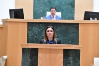 დღეს საქართველოს პარლამენტმა, მესამე მოსმენით „ტყის კოდექსის” კანონპროექტი დაამტკიცა