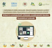 ონლაინ ფორმატში წლიური და საზედამხედველო კომიტეტის გაერთიანებული შეხვედრა გაიმართა