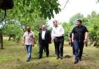 დევნილთა და განსახლების სამინისტრომ გურიისა და იმერეთის რეგიონებში მცხოვრები ეკომიგრანტი ოჯახებისთვის 130 სახლი შეისყიდა