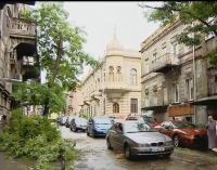 ლადო ასათიანის ქუჩაზე ქარმა ხე მოგლიჯა