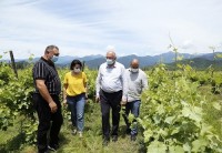 აგროდაზღვევის სახელმწიფო პროგრამის ფარგლებში, სეტყვის შედეგად მიყენებული ზარალის ანაზღაურება მიმდინარეობს