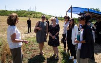 ნინო თანდილაშვილი: ქართული ენდემური ხორბლის ჯიშების აღდგენისა და წარმოების ხელშეწყობა სამინისტროს სტრატეგიის ნაწილს წარმოადგენს
