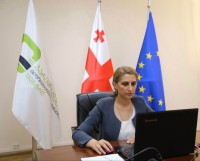 თამარ ალადაშვილმა ეუთოს შეხვედრაში მიიღო მონაწილეობა