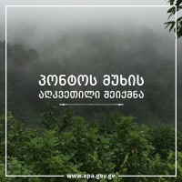 საქართველოში კიდევ ერთი დაცული ტერიტორია- პონტოს მუხის აღკვეთილი შეიქმნა
