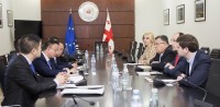 ლევან დავითაშვილი ჩინური კომპანიის წარმომადგენლებს შეხვდა