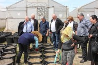 სოფელ რუხში ლურჯი მოცვის სანერგე-სადემონსტრაციო მეურნეობა მოეწყო