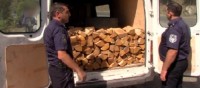  სამცხე-ჯავახეთში ხე-ბუჩქნარის უკანონოდ გაჩეხვის ფაქტზე 15 პირი ამხილეს