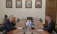 ირაკლი სესიაშვილი შვედეთის ელჩს შეხვდა