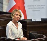 გარემოს დაცვისა და ბუნებრივი რესურსების კომიტეტმა საგაზაფხულო სესიის საქმიანობის ანგარიში წარადგინა და პარლამენტში „მწვანე სივრცე“ გახსნა