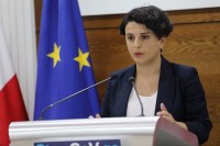 ნათია მეზვრიშვილი: გაზრდილი რაოდენობის მიუხედავად, თამამად შეგვიძლია ვთქვათ, რომ სიტუაცია კონტროლს ექვემდებარება და მართვადია