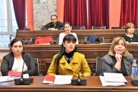იურიდიულ საკითხთა კომიტეტთან არსებული საკოორდინაციო საბჭო „ადრეული და სკოლამდელი აღზრდისა და განათლების შესახებ“ კანონის იმპლემენტაციზე ზედამხედველობას განაგძობს