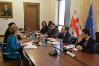 ანრი ოხანაშვილი საქართველოში გაეროს განვითარების პროგრამის (UNDP) მუდმივ წარმომადგენელს შეხვდა