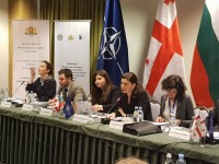 სოფიო ქაცარავამ ნატოს ეროვნული პროგრამის მიმდინარე წლის პრიორიტეტების განხილვაში მიიღო მონაწილეობა