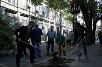 ჩუღურეთის რაიონში გამწვანების სამუშაოები მიმდინარეობს 