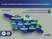 ნოემბრის თვეში უკანონო ტყითსარგებლობის 109 ფაქტი გამოვლინდა