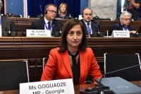 ნინო გოგუაძე: უპრეცედენტოა ასეთი მხადაჭერა და შეფასებები, რომელიც ევროპარლამენტის წევრების მხრიდან ამ დღეებში მოვისმინეთ