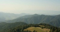 ასმათ ხანგოშვილი: ძალის გადამეტება, ვისი მხრიდანაც არ უნდა იყოს, არ არის ჩვენთვის მისაღები