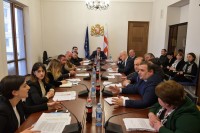  ჯანდაცვის კომიტეტში „ბოლო საცხოვრისის მიმართ იძულებითი აღსრულების შესახებ“ კანონპროექტზე სამუშაო ჯგუფის შეხვედრა გაიმართა