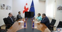ლაშა დარსალიამ ევროკავშირის სადამკვირვებლო მისიის ხელმძღვანელთან საოკუპაციო ხაზზე საქართველოს მოქალაქის დაჭრისა და უკანონო დაკავების ფაქტი განიხილა