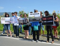 „ქართული ოცნების“ ახალგაზრდების განცხადებით, პოლიციამ ყვარელში მათ პრეზიდენტის სახლთან მისასვლელი გზა გადაუკეტა