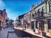 აღმაშენებლის გამზირზე კატალპების მინდვრის ნეკერჩხლით ჩანაცვლება მიმდინარეობს 