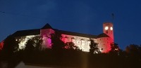 საქართველოს პირველი დემოკრატიული რესპუბლიკის 100 წლისთავს მსოფლიოს სხვადასხვა ქვეყნებში აღნიშნავენ