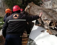 ძლიერი ქარის გამო, ბოლო სამ დღეში საგანგებო სიტუაციების მართვის სამსახურში 261 შეტყობინება შევიდა
