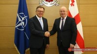ლევან იზორიამ ნატოს გენერალური მდივნის თანაშემწე მიიღო