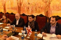 სოფიო ქაცარავა ესტონეთის პარლამენტის ევროკავშირის საქმეთა კომიტეტის დელეგაციას შეხვდა