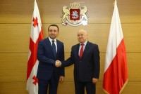 ირაკლი ღარიბაშვილი პოლონეთის ელჩს შეხვდა 